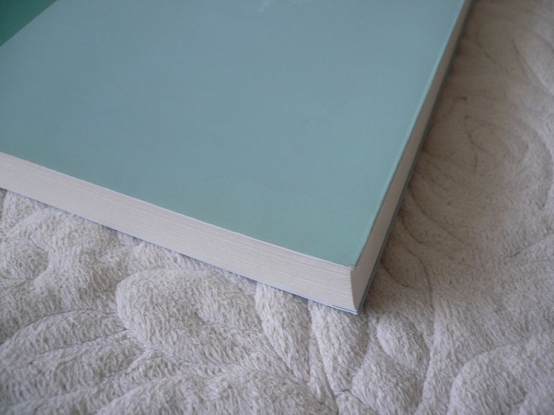 电熨斗修复书籍技巧总结和经验交流(包括书脊开裂、开胶、折角等)