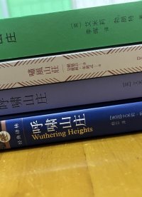 《呼啸山庄》6种译本对比