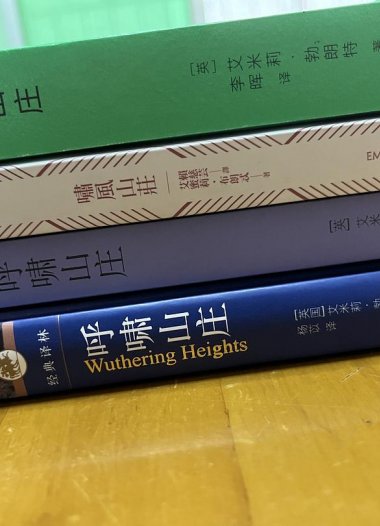 《呼啸山庄》6种译本对比