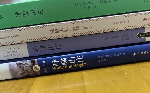 《呼啸山庄》6种译本对比